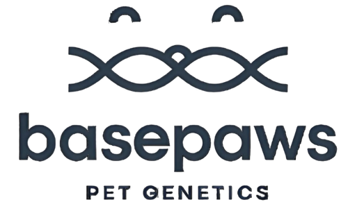 basepaws