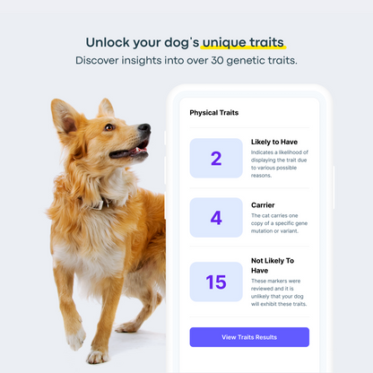 Breed + Health Dog DNA Test