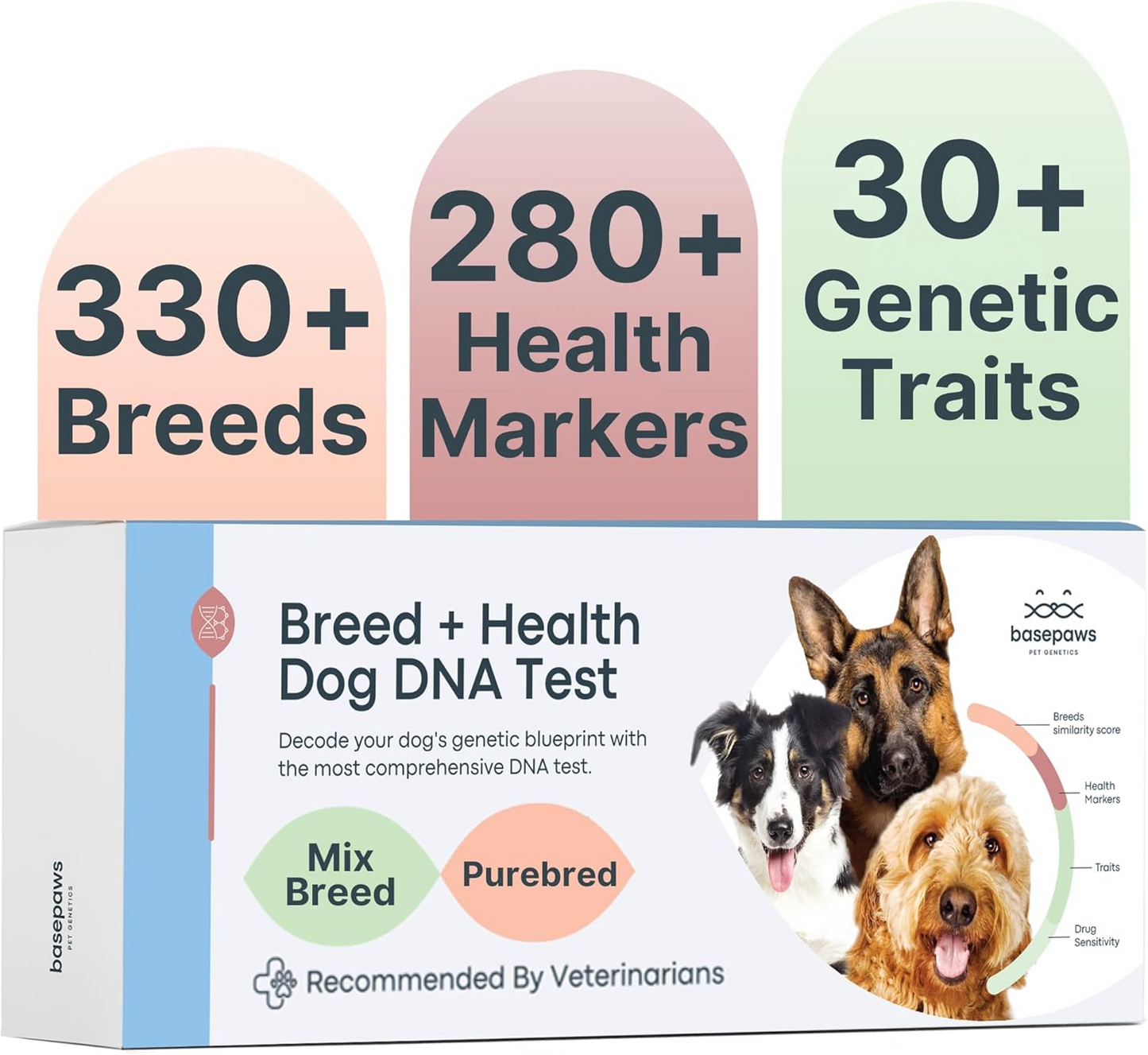 Breed + Health Dog DNA Test