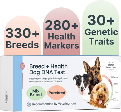 Breed + Health Dog DNA Test
